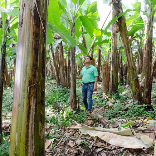 Diseño sin título 2022 10 04T153425.313