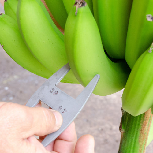 Diseño sin título 2022 10 04T153928.390